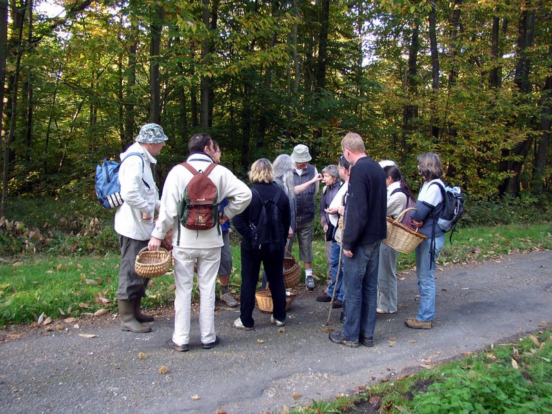 2011 10 02 Baies et champignons 02